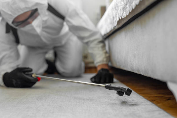 Professional Bed Bug Control technician working in Gibraltar, MI