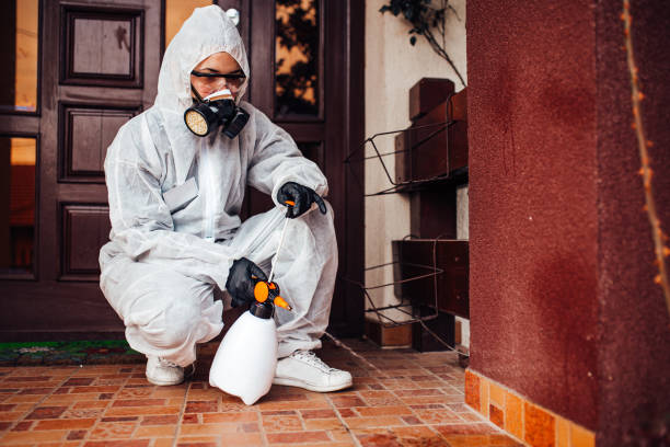 Reliable Bed Bug Control contractor in Gibraltar, MI by Nex Pest Control