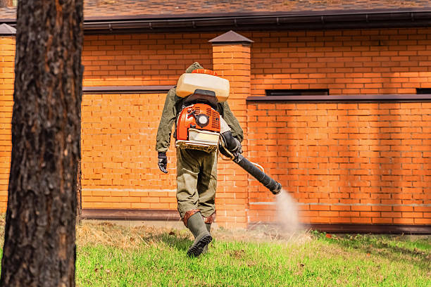 Top rated local Bed Bug Control specialists in Gibraltar, MI